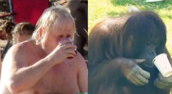 This is a desperately unfair comparison
Many apologies to the orangutang for any offence caused 🤣🤣🤣