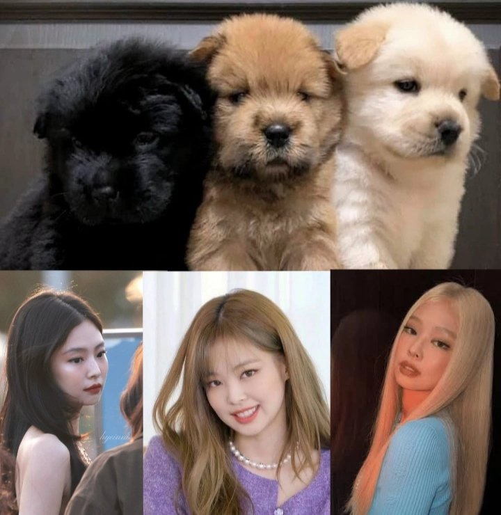 BLACK             BROWN            BLOND