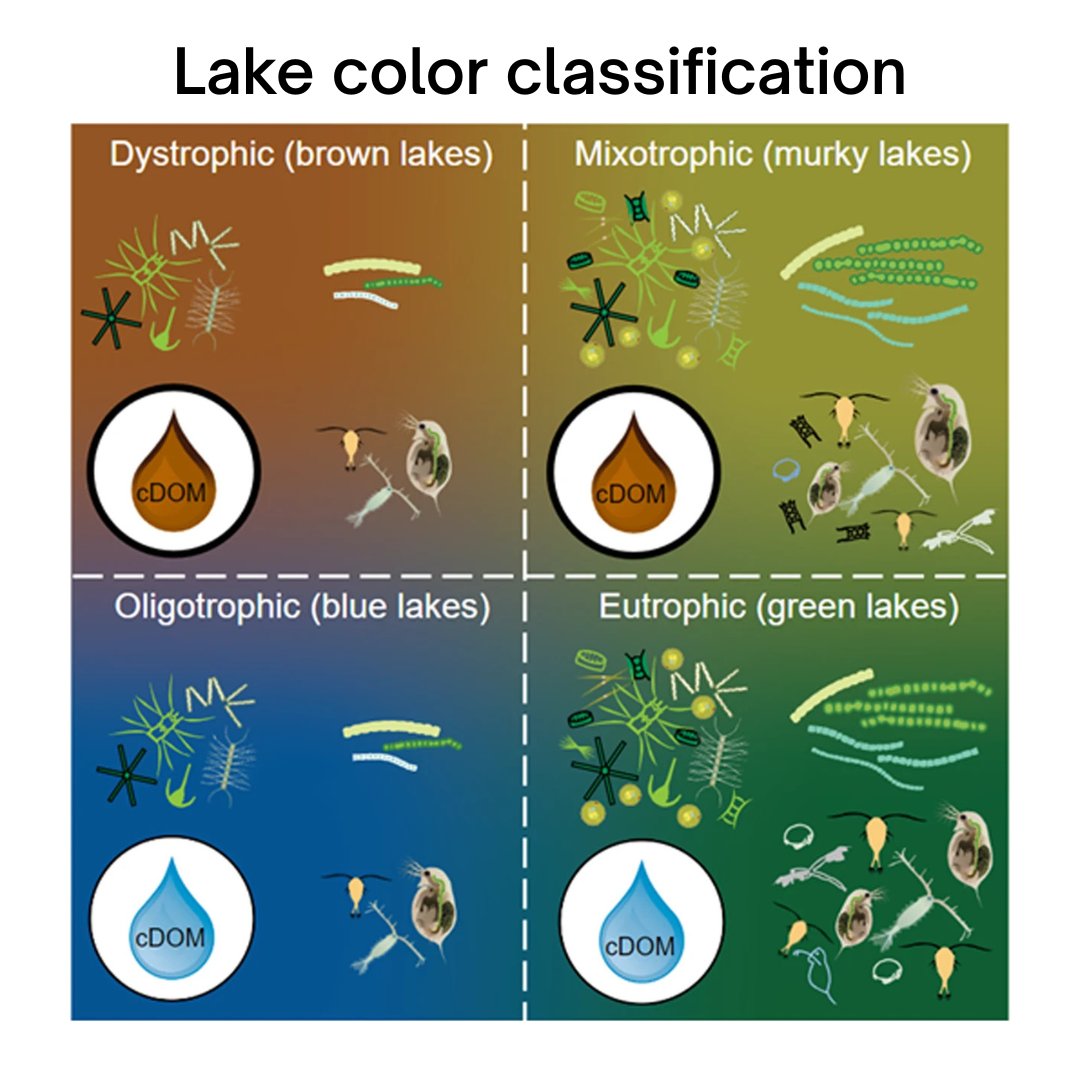 Unlocking lake secrets with <a href="/USGSLandsat/">USGS Landsat</a> ! 🛰️

We're using lake color &amp; machine learning (trained with US EPA’s National Lakes Assessment data) to determine trophic state – a key water quality indicator.
Learn more - nature.com/articles/s4159…

#NationalWaterQualityMonth