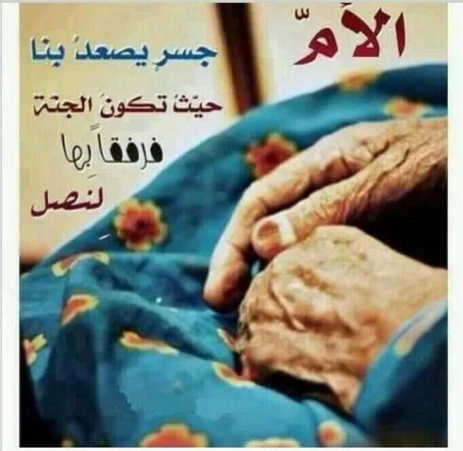 محمد الغدير الاسلمي tweet media