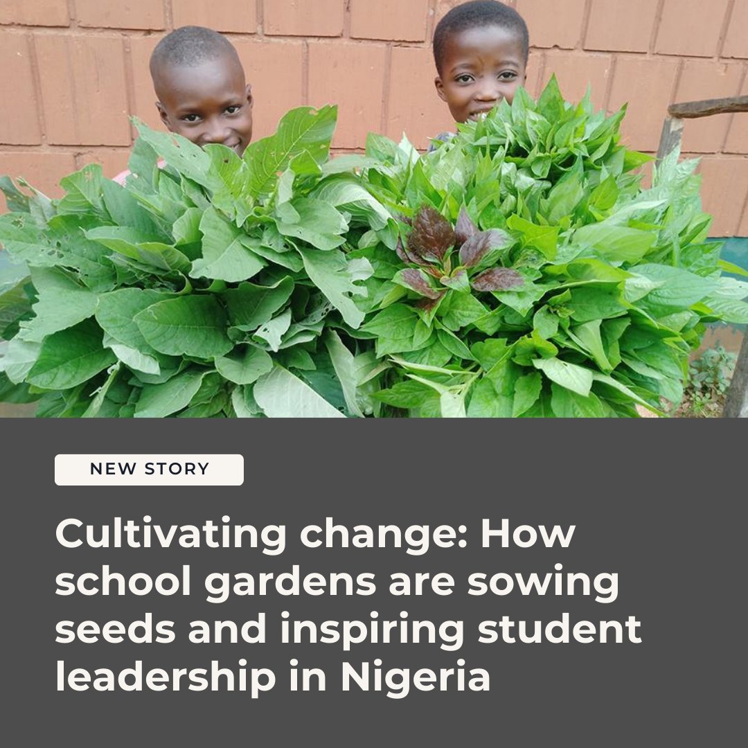TeachForAll's tweet image. “Hunger was keeping children from school. Gardens became the solution.”

@Teach4Nigeria  alumna Mary Ameh shares how school gardens are tackling food insecurity and growing student leadership in Ogun State🌱

🔗teachforall.org/blog/cultivati…