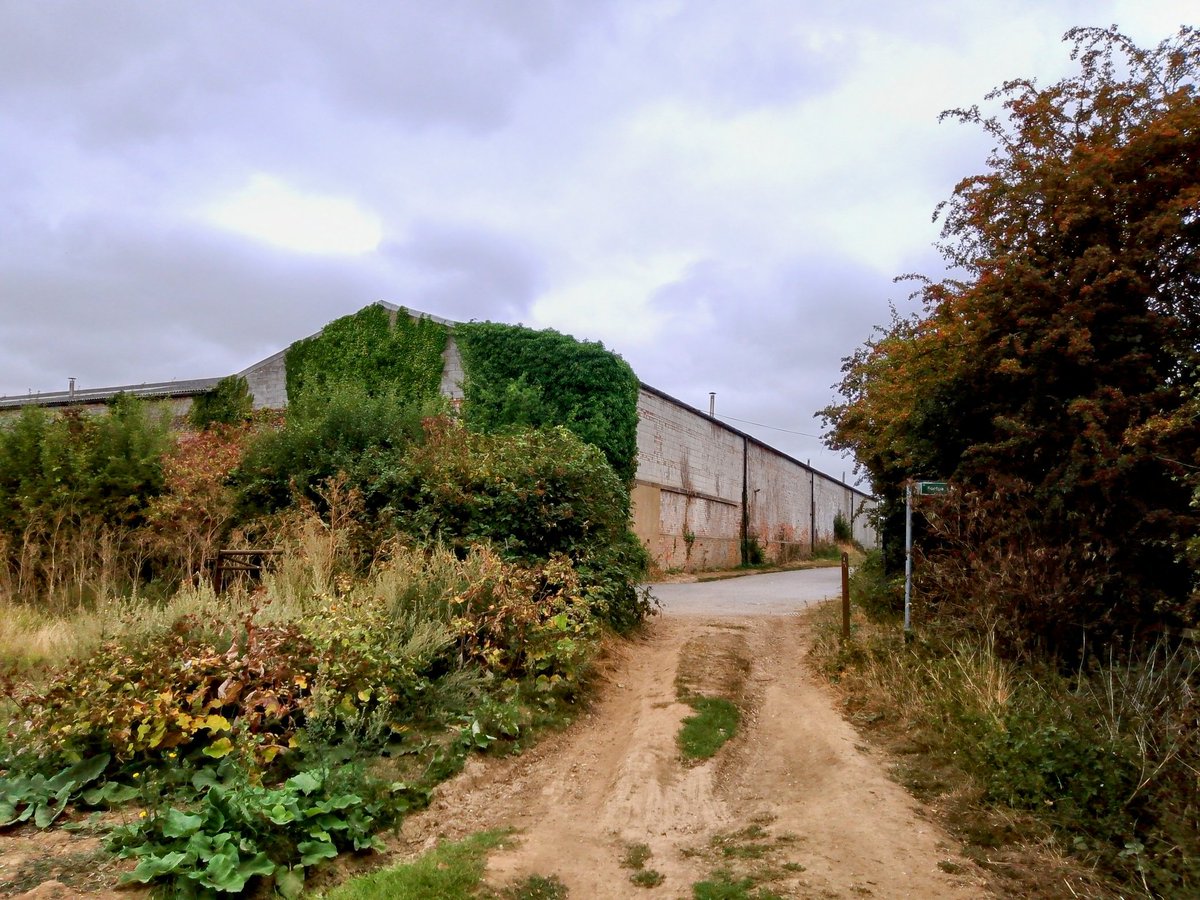 phil0073's tweet photo. On the #IseValleyWay from the byway into #FurnaceLane. There's a gate hidden on the left ,which I guess hasn't used for a while.
#PhilOnaBike #Thursgate #FootpathFriday #BywayFriday https://t.co/agcnnuuHks