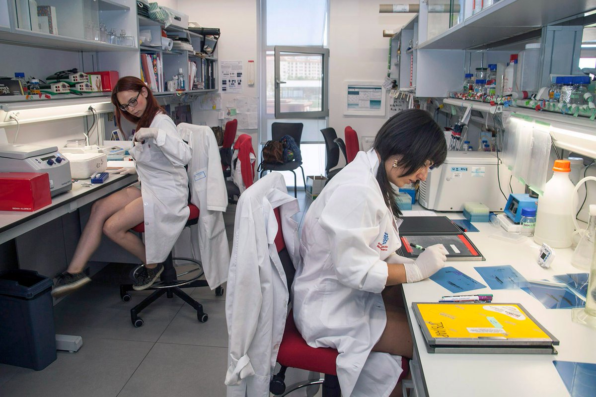 🔬<a href="/educacyl/">Educación JCyL</a> financia con 300.000 € la incorporación de un destacado científico internacional al <a href="/ibfg_es/">IBFG</a> de #Salamanca dentro del programa ‘Andrés Laguna’

🧬Carlos Bustamante es experto en el estudio de moléculas individuales de ADN y proteínas

#CGJCyL

comunicacion.jcyl.es/web/jcyl/Comun…