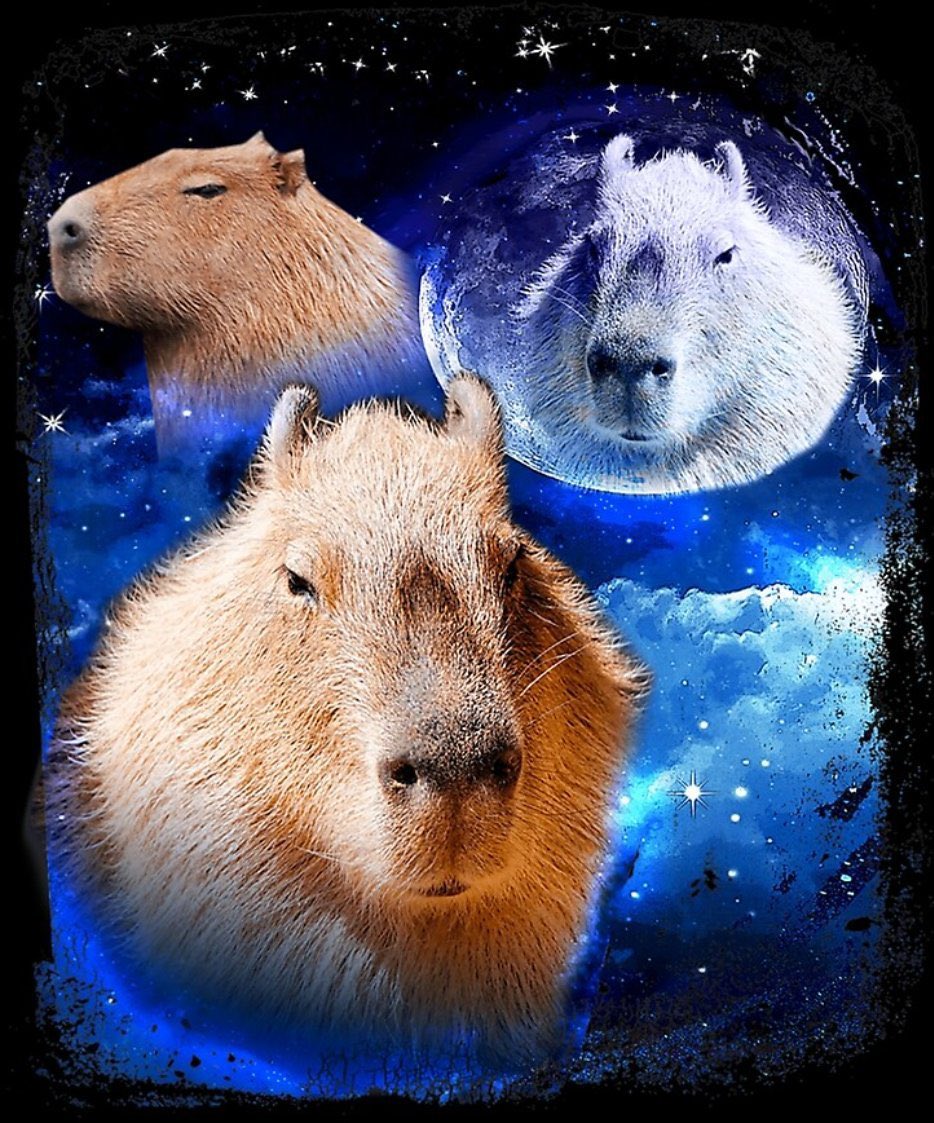 capy (@capyonbonk) on Twitter photo 