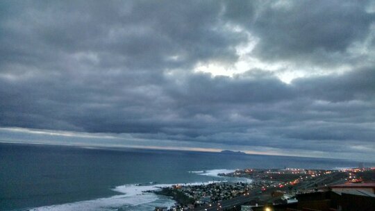 npcat0's tweet image. 