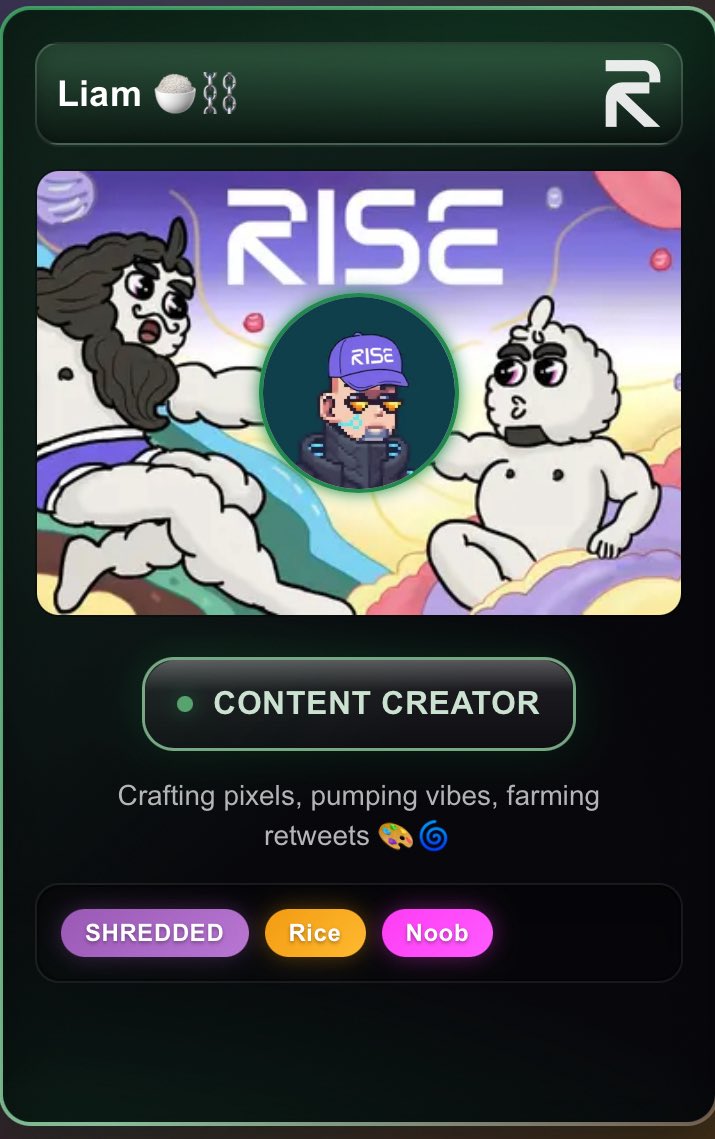 My RISE Passport ✨
Let's aRISE on @rise_chain!
[Insert your passport image here]
#RISE #Gigagas