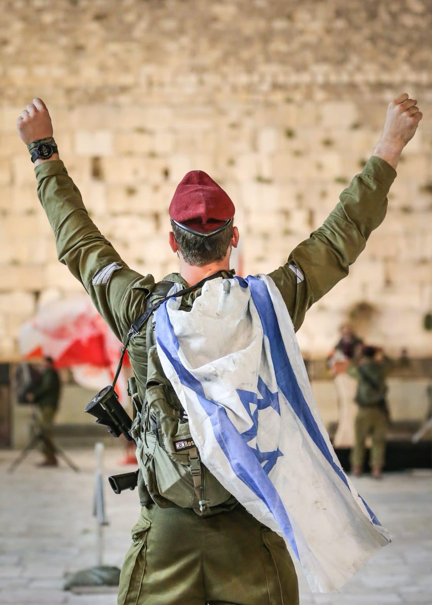 <a href="/VividProwess/">Vivid.🇮🇱</a> <a href="/kalter_daniel/">Daniel Kalter</a> 🙋🏻‍♀️