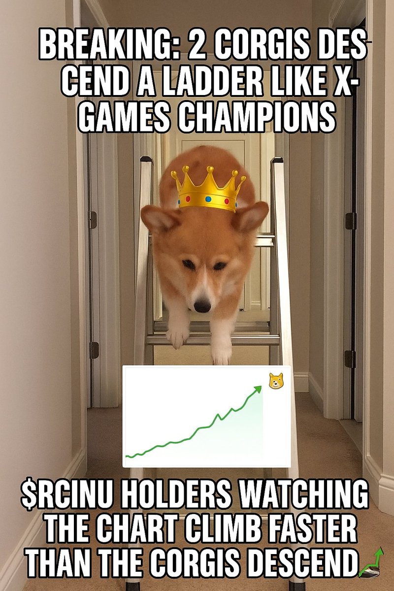 Royal Corgi Inu | $RCINU tweet media