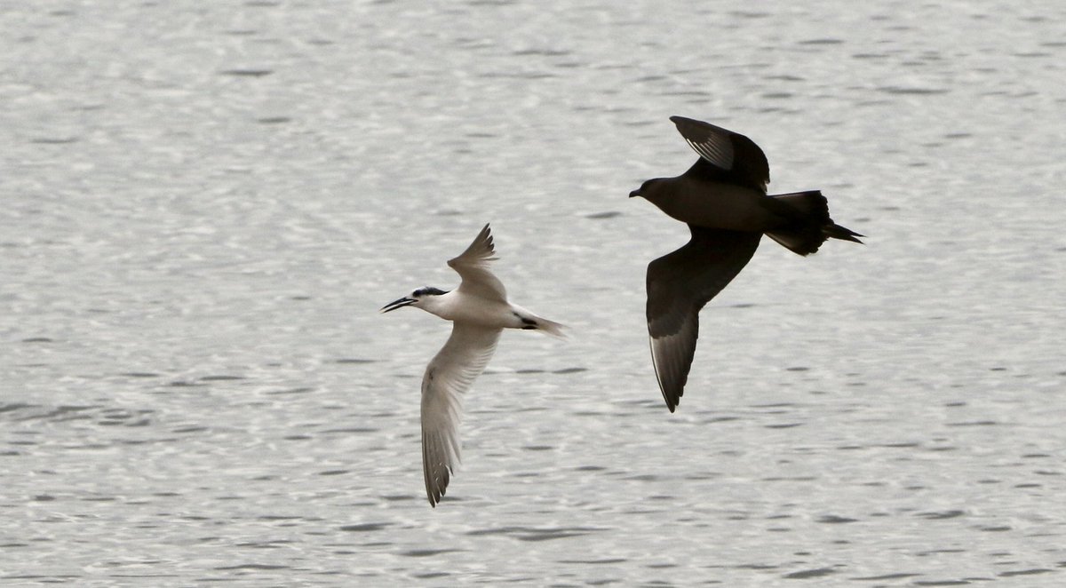 Marc Hughes tweet media