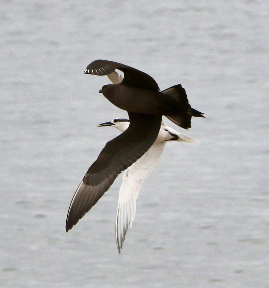 Marc Hughes tweet media