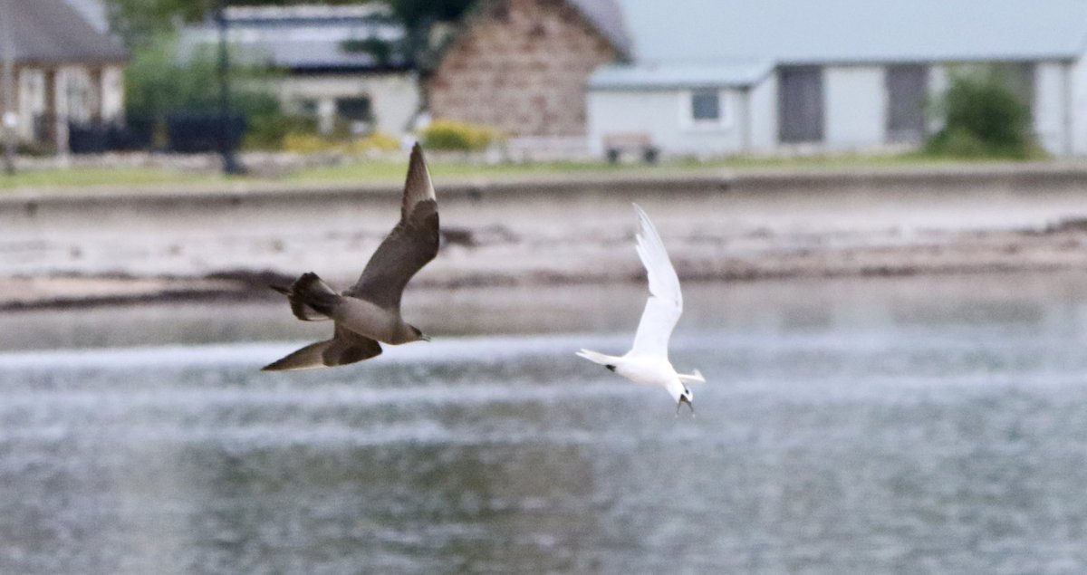 Marc Hughes tweet media