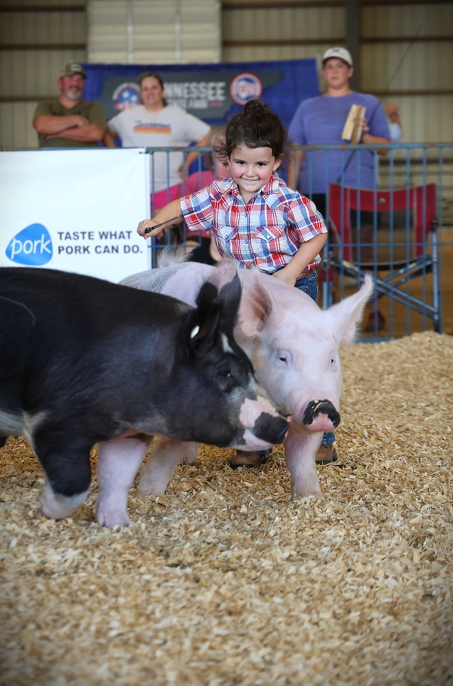 Wilson County TN State Fair tweet media