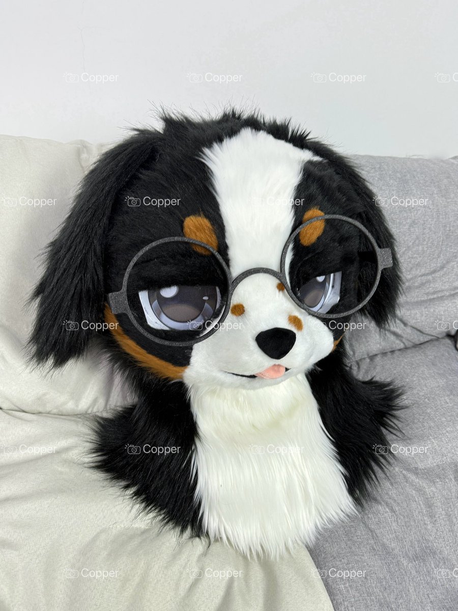 Bernese Mountain Dog🐶For sale🔛Give away glasses #fursuit #fursuitforsale #fursuithead
#fursuitcommissions #fursuitcommission #fursuits #fursuite #furry #furrvfriends #furryfandom #furrvartwork