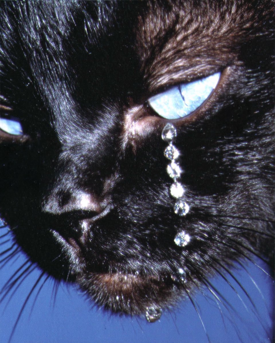 Real man-hating kinda week