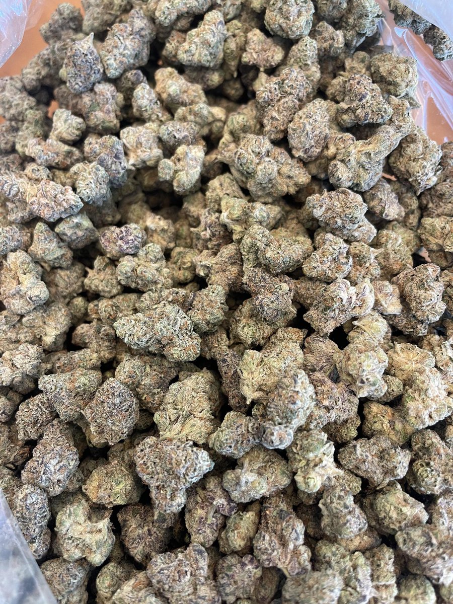 Lemon Cherry RuntZ 🔥