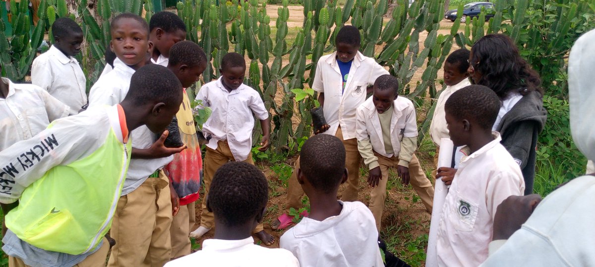 still in the school orchard