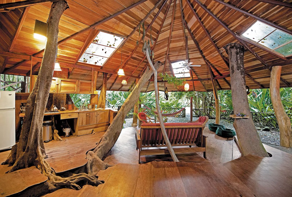 AdamNHB's tweet photo. 🌳 Dormir dans un arbre… à 30 mètres de hauteur

Au Costa Rica, le Tree House Lodge propose des cabanes perchées au cœur de la jungle
👉 Imaginez : vous vous endormez bercé par les bruits de la forêt tropicale et vous vous réveillez avec le chant de centaines d’oiseaux.

📊 Quelques chiffres qui font rêver :
•🌴 30 mètres au-dessus du sol, avec vue sur la canopée.
•🐒 +250 espèces d’animaux dans la réserve : singes, toucans, paresseux…
•🌎 Le Costa Rica protège plus de 25 % de son territoire en zones naturelles.

✨ Une expérience unique : dormir dans un arbre, entouré de la vie sauvage, dans l’un des pays les plus engagés pour la préservation de la biodiversité.

Et vous, oseriez-vous passer une nuit à 30 mètres du sol ? 🌿