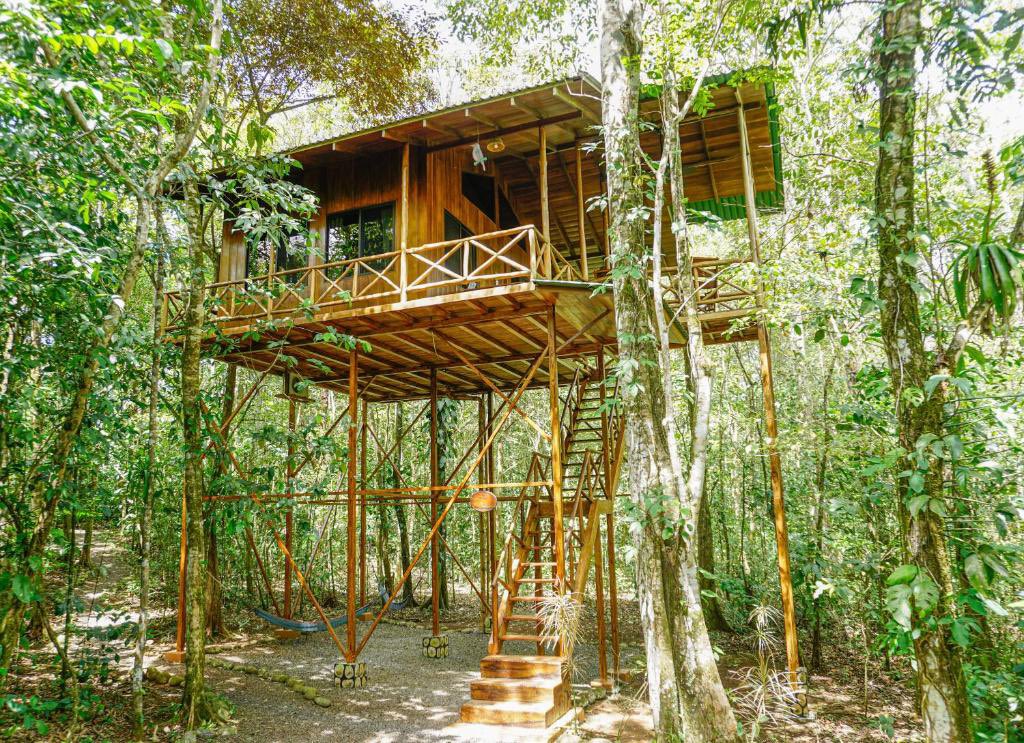 AdamNHB's tweet photo. 🌳 Dormir dans un arbre… à 30 mètres de hauteur

Au Costa Rica, le Tree House Lodge propose des cabanes perchées au cœur de la jungle
👉 Imaginez : vous vous endormez bercé par les bruits de la forêt tropicale et vous vous réveillez avec le chant de centaines d’oiseaux.

📊 Quelques chiffres qui font rêver :
•🌴 30 mètres au-dessus du sol, avec vue sur la canopée.
•🐒 +250 espèces d’animaux dans la réserve : singes, toucans, paresseux…
•🌎 Le Costa Rica protège plus de 25 % de son territoire en zones naturelles.

✨ Une expérience unique : dormir dans un arbre, entouré de la vie sauvage, dans l’un des pays les plus engagés pour la préservation de la biodiversité.

Et vous, oseriez-vous passer une nuit à 30 mètres du sol ? 🌿