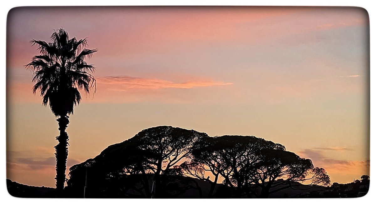 Le combo gagnant du soir.... palmier et pins parasols....
Bonne soirée les copains 😘