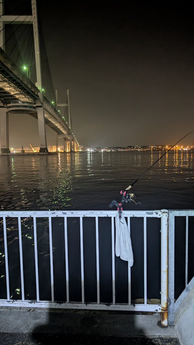 やっぱり来ちゃった大黒😁
さぁ～、マゴチ釣行開始‼️
今日は釣れそうな予感(笑)
朝マヅメ、目標3本😎
釣れると良いなぁ(笑)