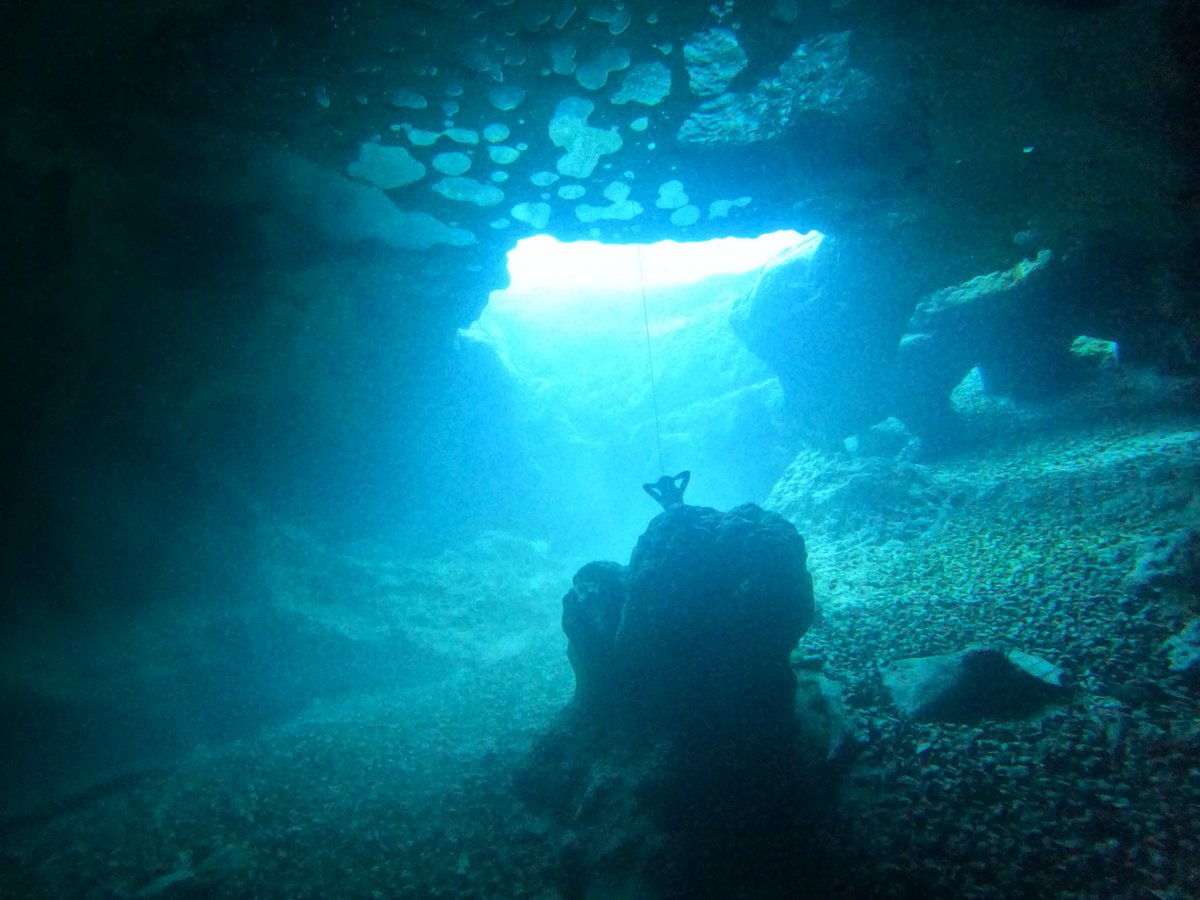 Randall (@thatguy8898) on Twitter photo 