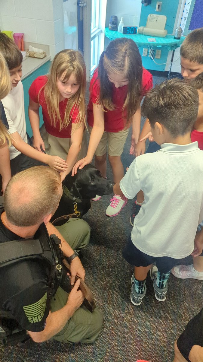 Allison Bender tweet media