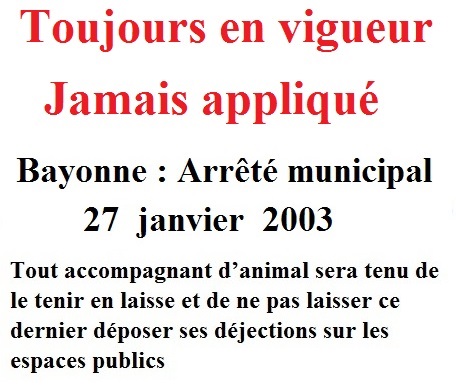 PietonB's tweet photo. Lorient
Femme hospitalisée après avoir été cruellement mordue par un chien en plein centre-ville
https://t.co/Ly8sS1ZMQL

Bayonne
DANGER  PERMANENT

Des hordes de chiens dangereux errent dans la ville

Le MAIRE est INCAPABLE de faire respecter son règlement canin

#BayonneMaVille https://t.co/AyxomORwL8