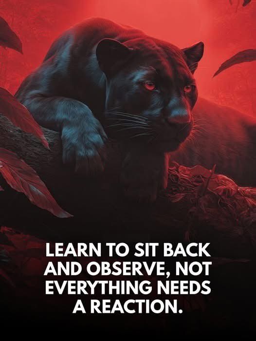 AndreBell111's tweet image. 🤩🤩🤩🤩🤩 #HUNGERFORMORE!