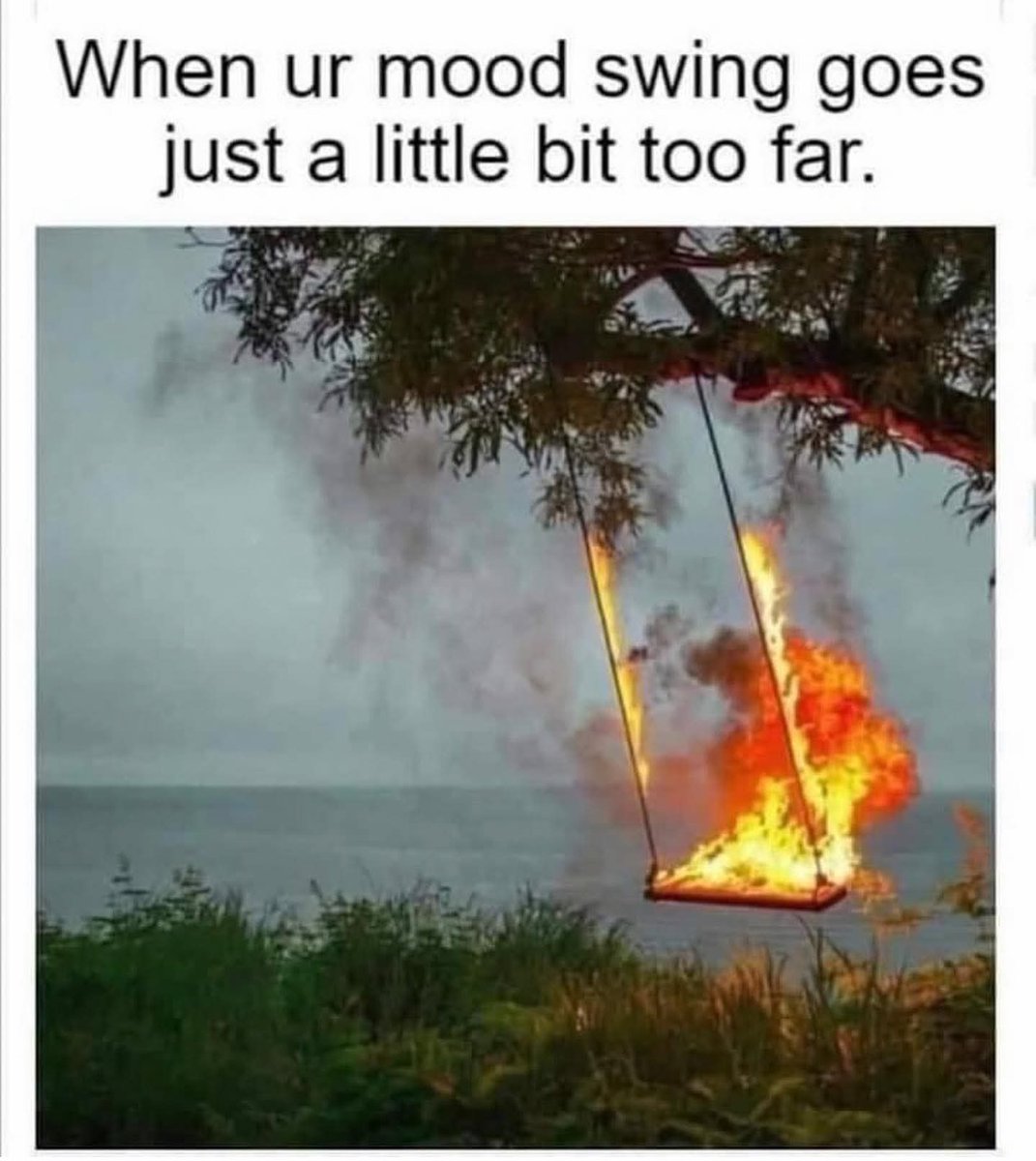 <a href="/DSOfficer405/">LeeshaUnhinged</a>