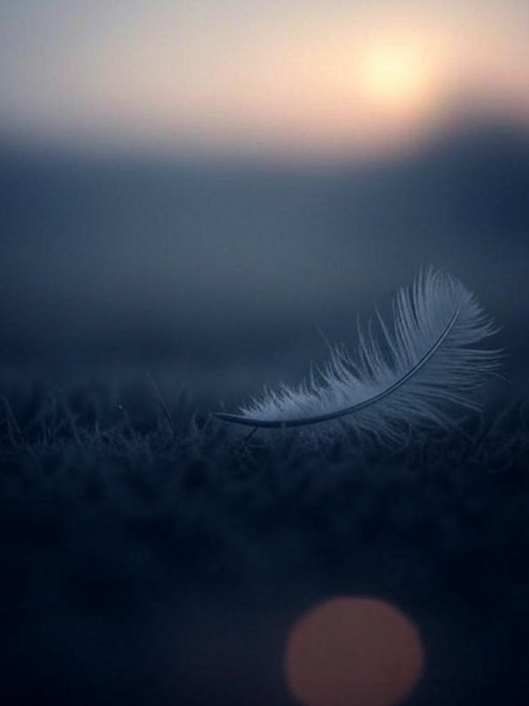 WriterJenIf's tweet image. Darling, there is only this moment. There is no yesterday, no tomorrow, only right now. Right now, you are enough. Everything is okay.
Breathe it in. You're not alone. Feel the love.

#Relaxed #PeaceAndLove