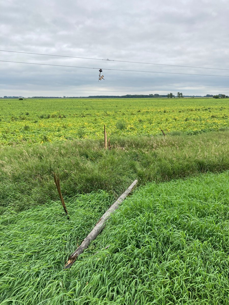 Manitoba Hydro tweet media