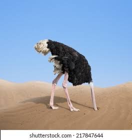 Shaping #INDIA (@rvijayagopalan) on Twitter photo 2% may be Corrupt to the Core
8% may be Incompetent
90% are Ostrich hiding its Head, Passively Corrupt being Slient with their INACTION
Core Problem in #INDIA is the 90% Weaklings 🙏🙏🙏
<a href="/UPSC_Official/">Union Public Service Commission (UPSC)</a>
<a href="/CVCIndia/">CVC, Govt. of India</a> <a href="/DoPTGoI/">DoPT</a> <a href="/LBSNAA_Official/">LBSNAA</a> <a href="/svpnpahyd/">SVPNPA</a> 2% may be Corrupt to the Core
8% may be Incompetent
90% are Ostrich hiding its Head, Passively Corrupt being Slient with their INACTION
Core Problem in #INDIA is the 90% Weaklings 🙏🙏🙏
<a href="/UPSC_Official/">Union Public Service Commission (UPSC)</a>
<a href="/CVCIndia/">CVC, Govt. of India</a> <a href="/DoPTGoI/">DoPT</a> <a href="/LBSNAA_Official/">LBSNAA</a> <a href="/svpnpahyd/">SVPNPA</a>