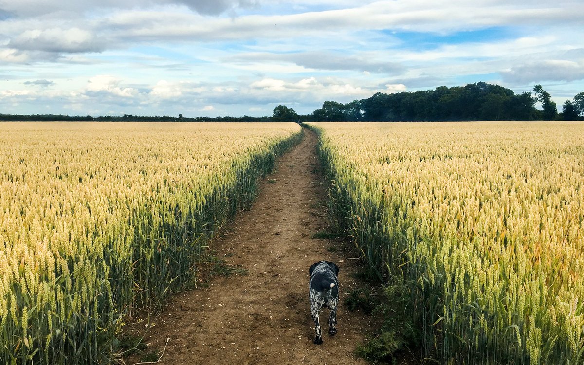 Via: way; route <a href="/Gallery365photo/">Gallery365photo</a> #Gallery365in2025 #Gallery365in2025DailyPrompt