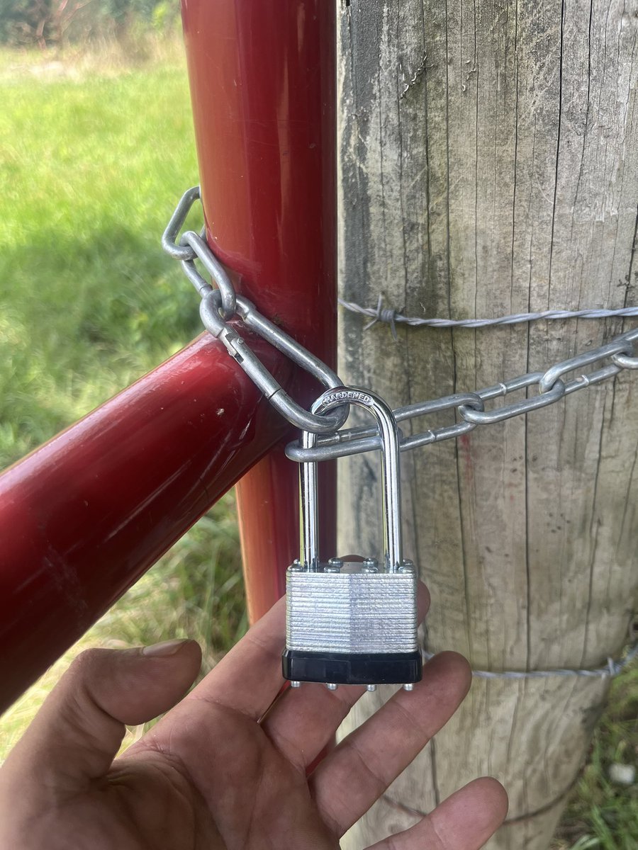 Who's going to tell them....