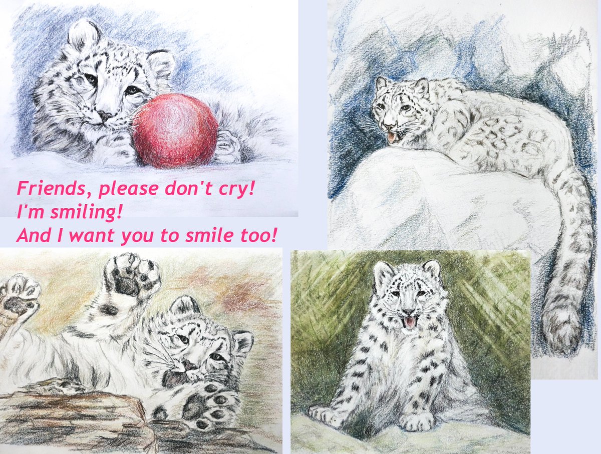 Kat_Drozhdina's tweet photo. #Fuku #snowleopard https://t.co/ULiX5HRBYg