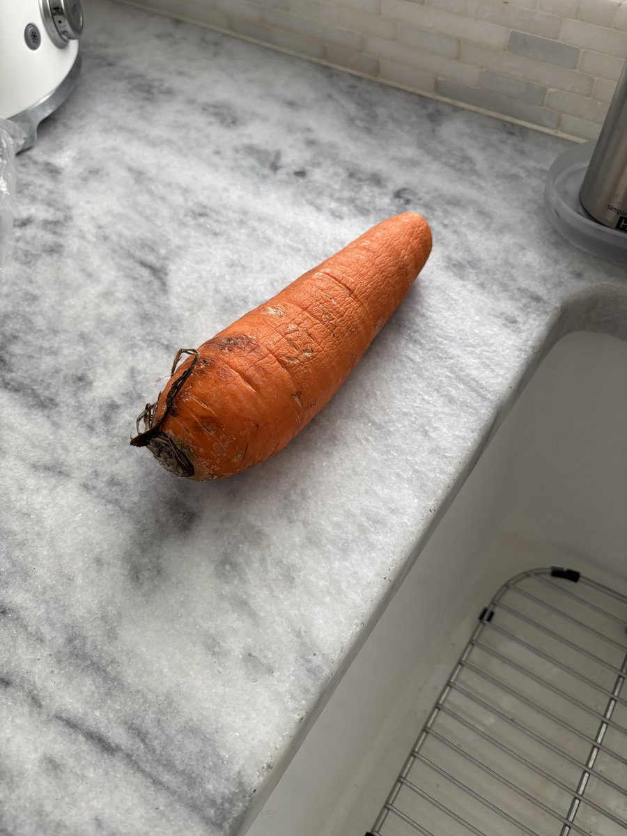 Woke up today ready for Umamusume Champion’s Meeting and saw this on my kitchen counter… is this a sign?