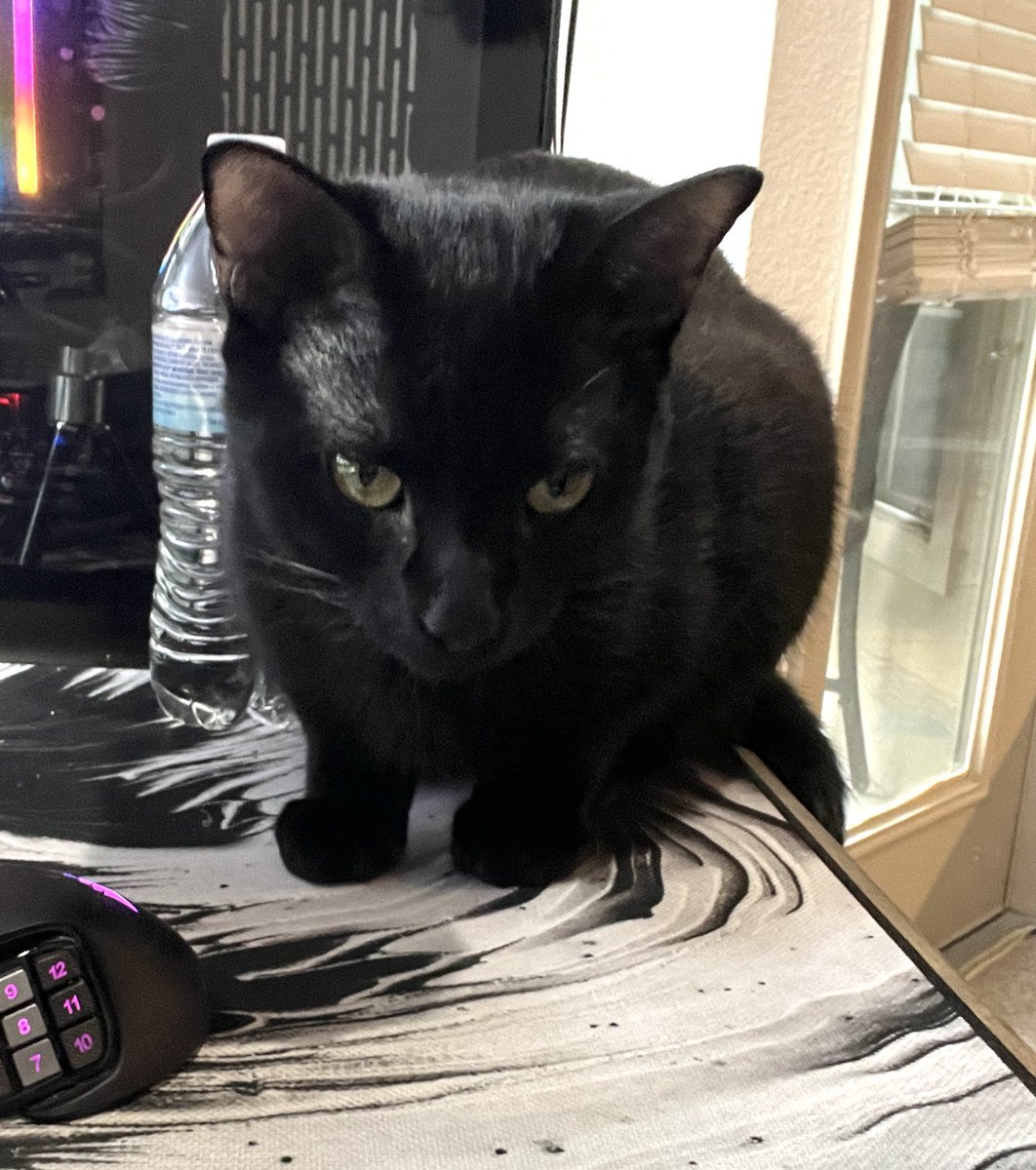 8rock⁶ tweet media