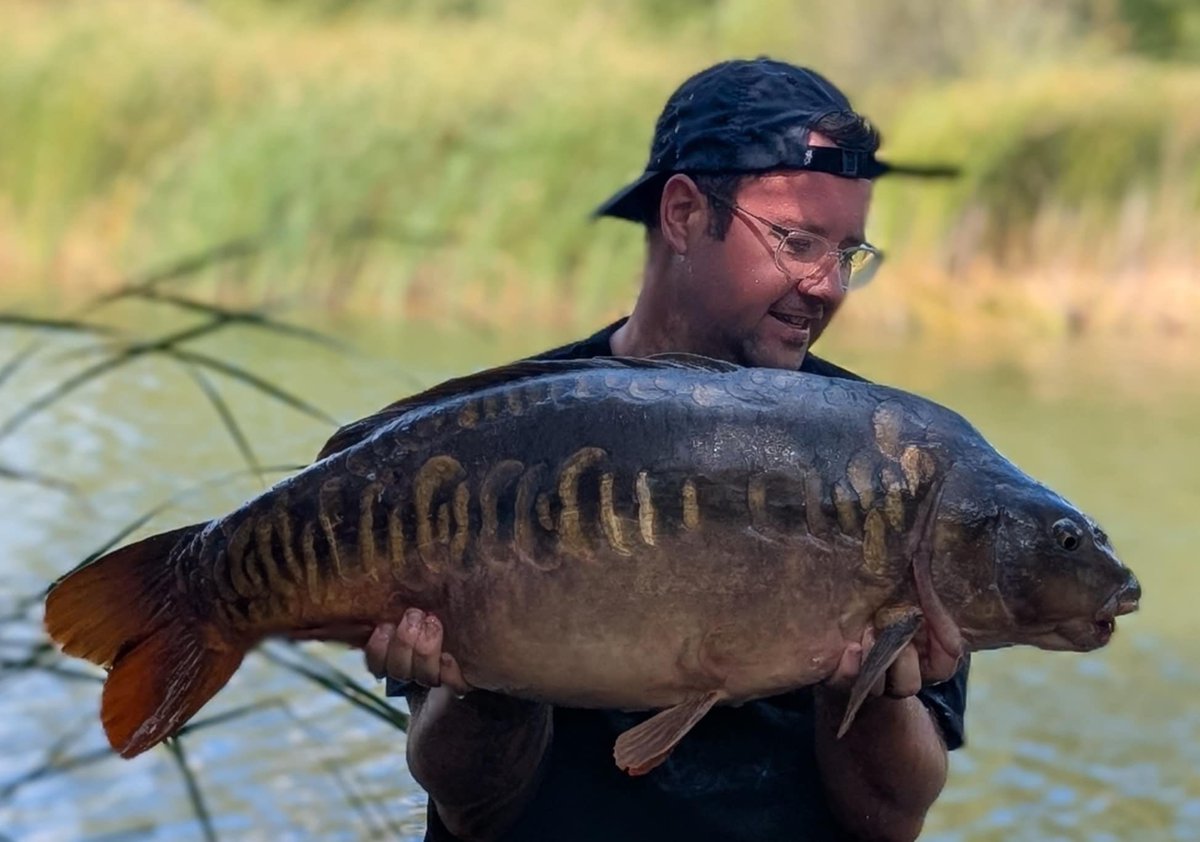 Bayeswater fisheries tweet media