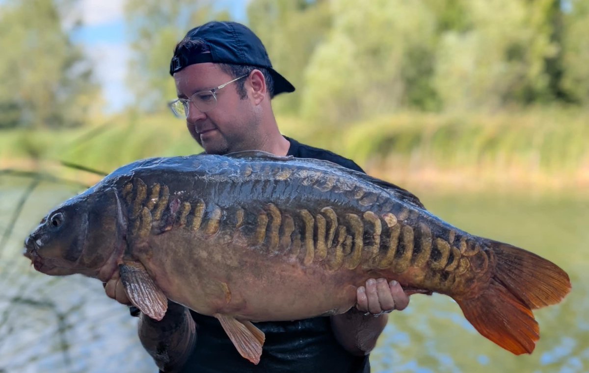 Bayeswater fisheries tweet media