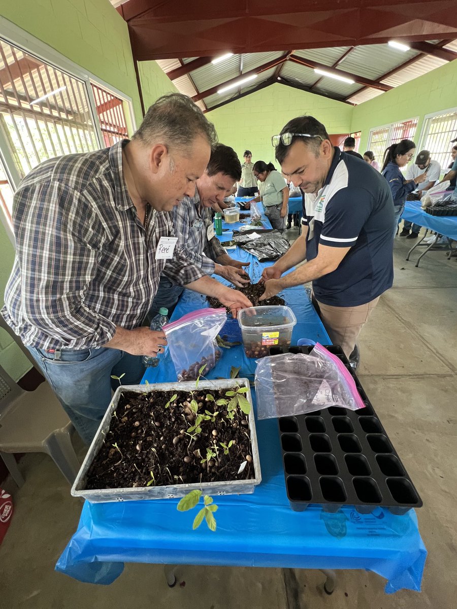 GCCO.Mexico&CA tweet media