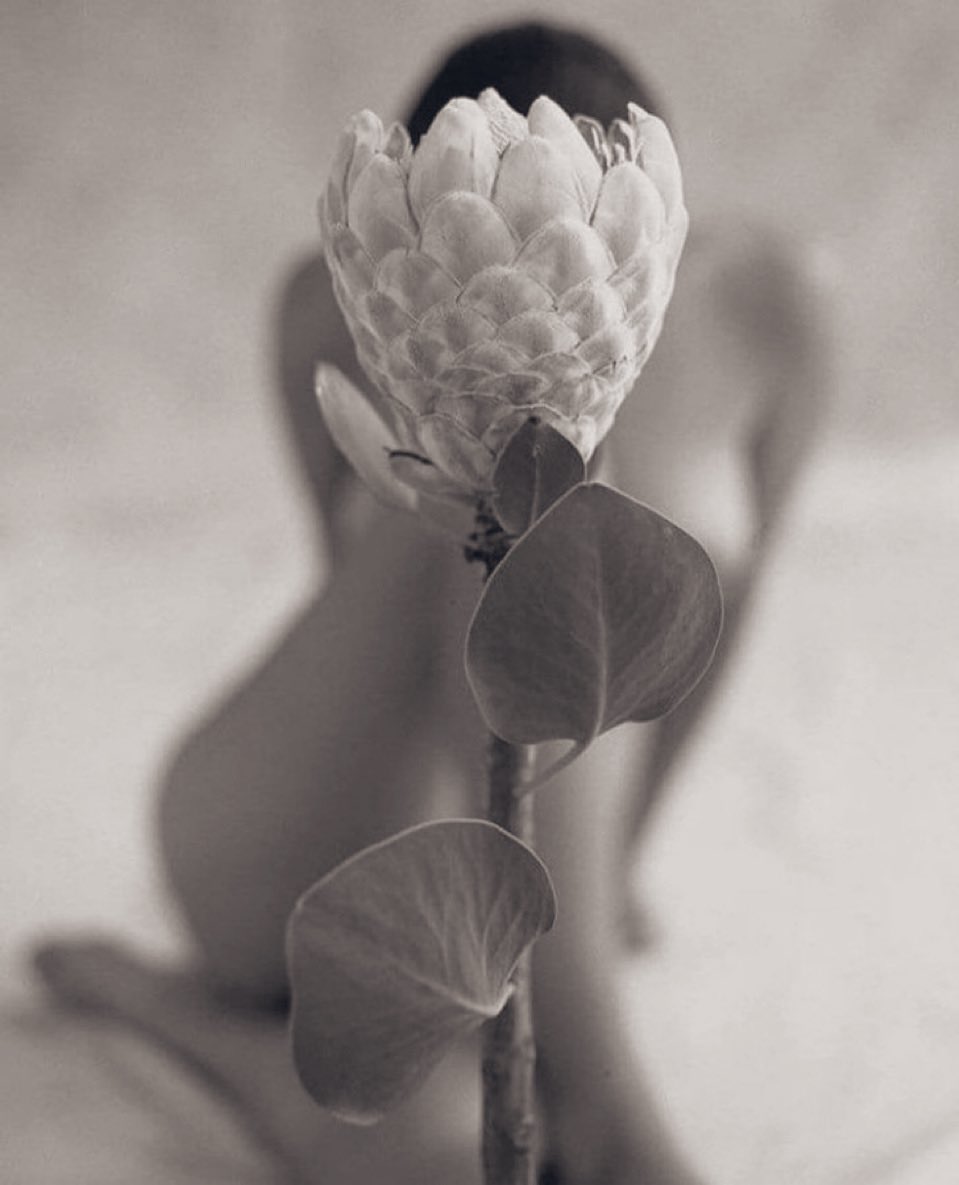 Be Creative (@beingcreative70) on Twitter photo 