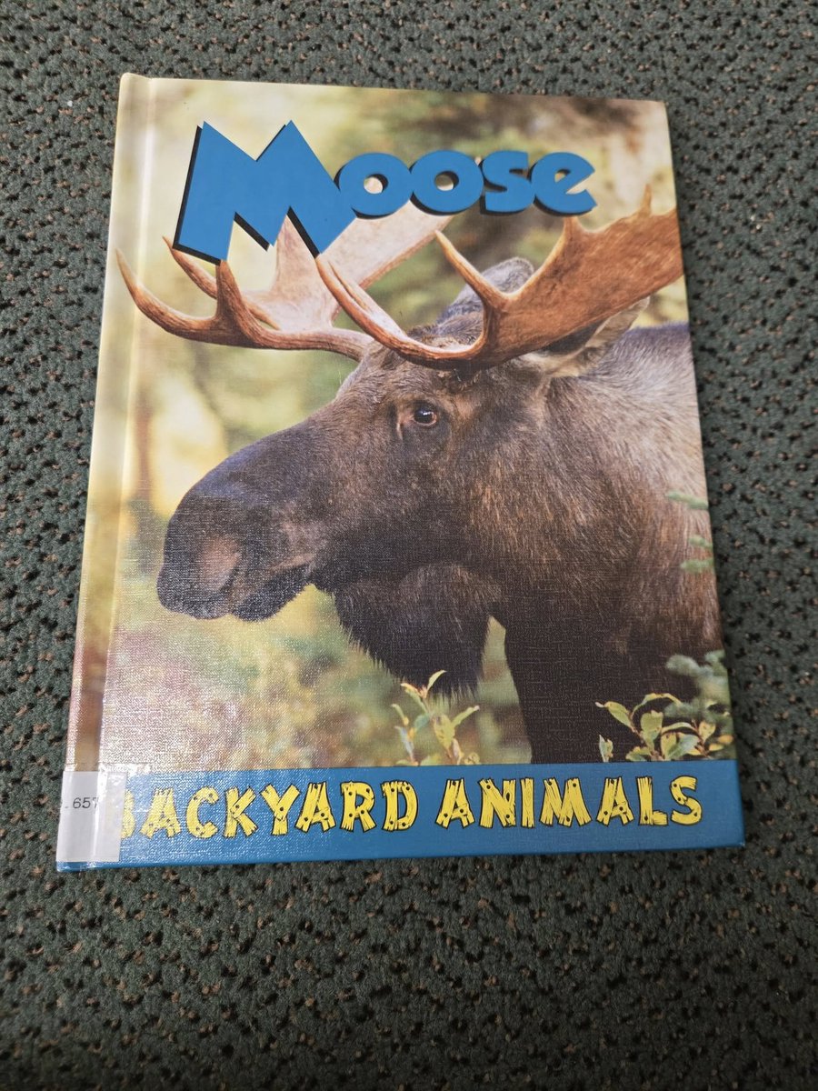 MelvilleLibrary's tweet photo. Back inside, we read Backyard Animals: Moose, a fascinating book that taught us all about these incredible gentle giants and how they live in the wild.  Finally, the kids created moose masks—complete with handprint antlers to make them extra special! https://t.co/WnY3uq7kdS