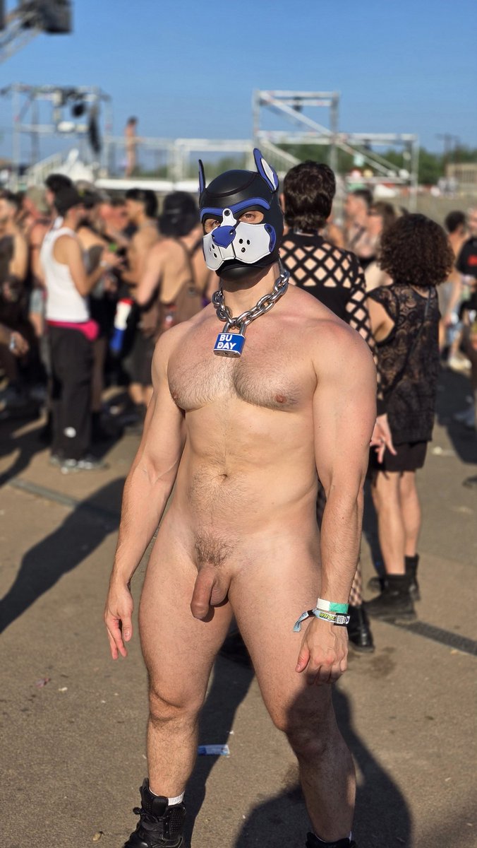 PupBuday's tweet photo. Let's get naked? 😘 https://t.co/XGnp26WplS