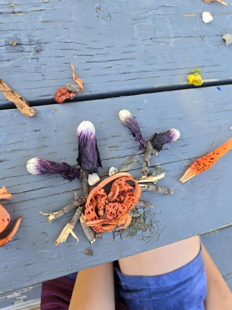 MelvilleLibrary's tweet photo. Afterwards, we headed outside to make art from nature!  The children were careful to only use leaves, sticks, and other treasures that had already fallen to the ground—nothing still growing. https://t.co/CoXNAE2OgV