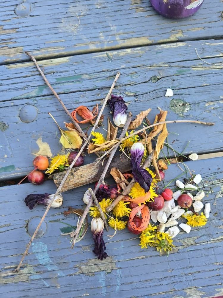 MelvilleLibrary's tweet photo. Afterwards, we headed outside to make art from nature!  The children were careful to only use leaves, sticks, and other treasures that had already fallen to the ground—nothing still growing. https://t.co/CoXNAE2OgV