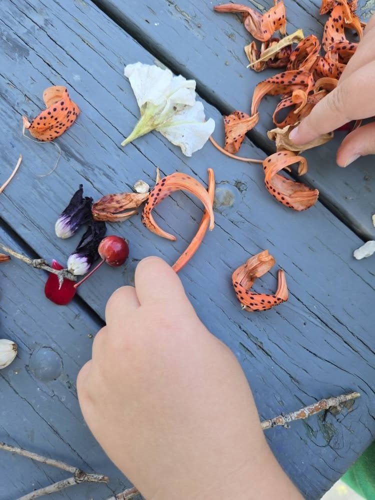 MelvilleLibrary's tweet photo. Afterwards, we headed outside to make art from nature!  The children were careful to only use leaves, sticks, and other treasures that had already fallen to the ground—nothing still growing. https://t.co/CoXNAE2OgV
