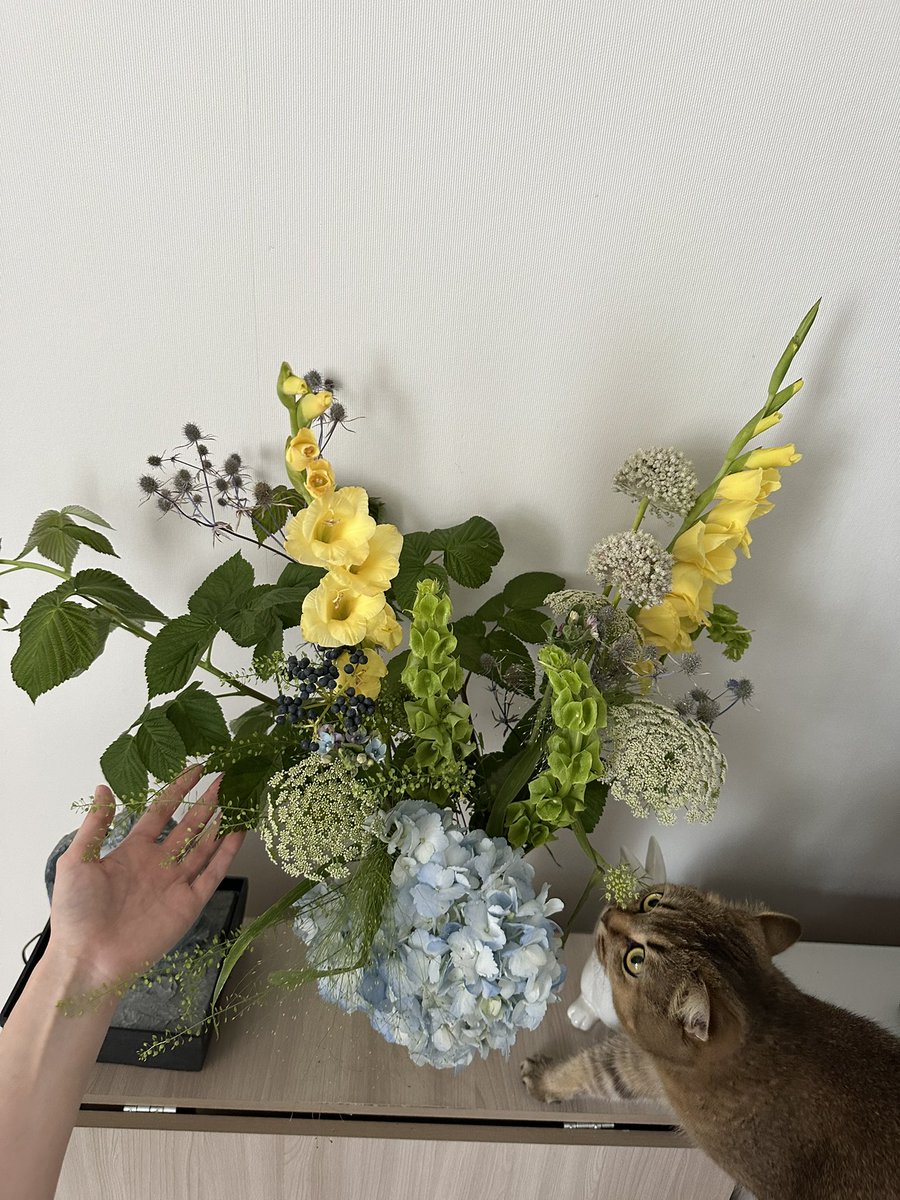 дидье дрогба tweet media