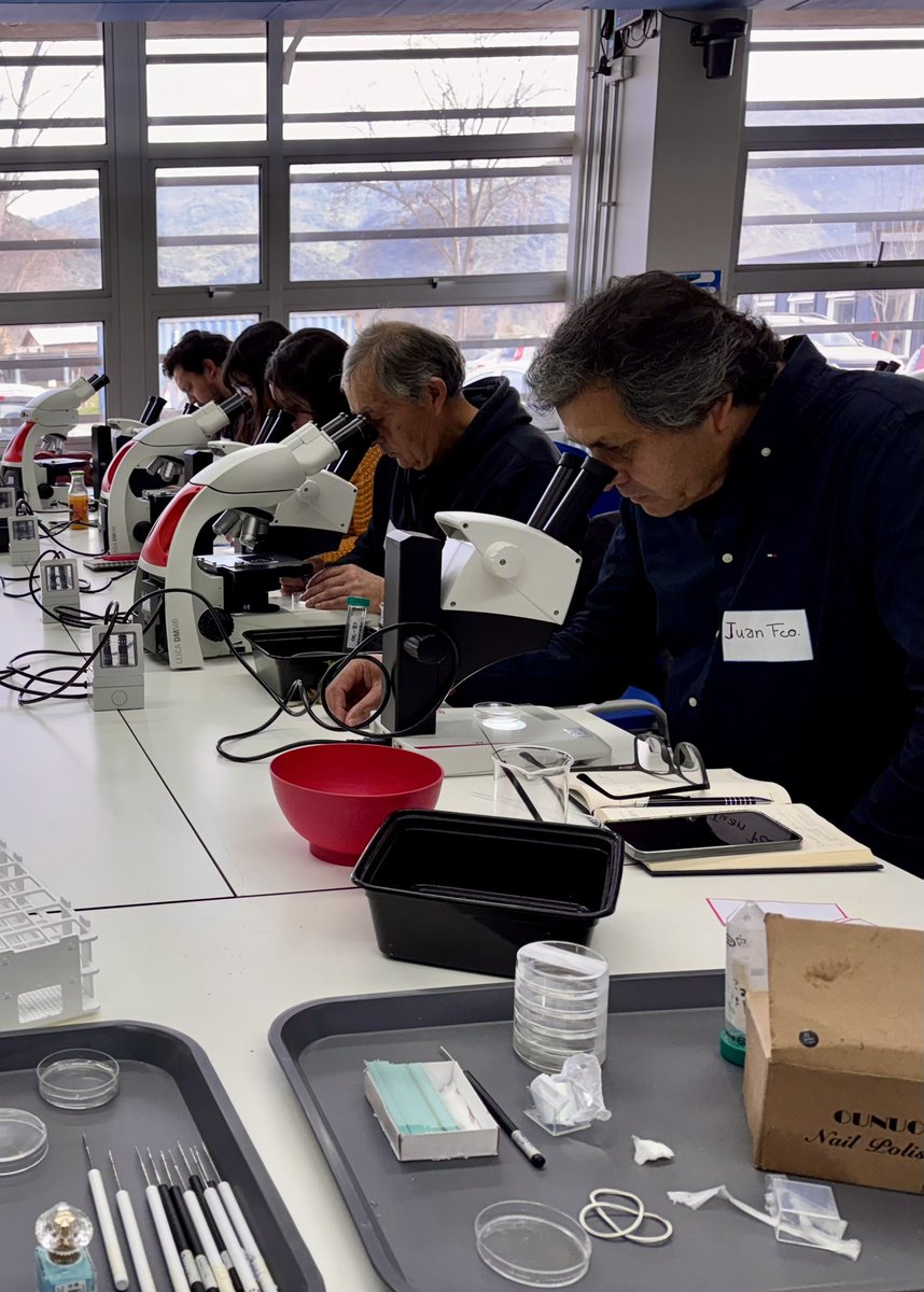 Laboratorio de NematologΓa UOH (@nematologia_uoh) on Twitter photo Hands-on workshop led by Dr. <a href="/esanblas/">Ernesto San Blas</a> (Nematology Lab, <a href="/ica3_uoh/">ICA3 Universidad de O'Higgins</a> <a href="/uohiggins/">Universidad de O'Higgins</a>) π¬
Teachers were trained in sampling, extraction, fixation, and microscopic observation of #Aphelenchoides fragariae πͺ±.
π± #FIC #SIMCANEM: promoting sustainable & resilient #strawberryfarming πͺ Hands-on workshop led by Dr. <a href="/esanblas/">Ernesto San Blas</a> (Nematology Lab, <a href="/ica3_uoh/">ICA3 Universidad de O'Higgins</a> <a href="/uohiggins/">Universidad de O'Higgins</a>) π¬
Teachers were trained in sampling, extraction, fixation, and microscopic observation of #Aphelenchoides fragariae πͺ±.
π± #FIC #SIMCANEM: promoting sustainable & resilient #strawberryfarming πͺ