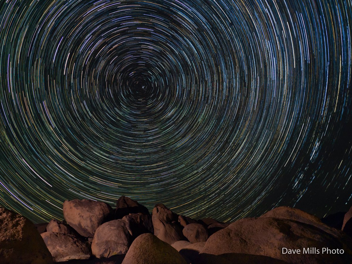 Dave Mills Photo tweet media