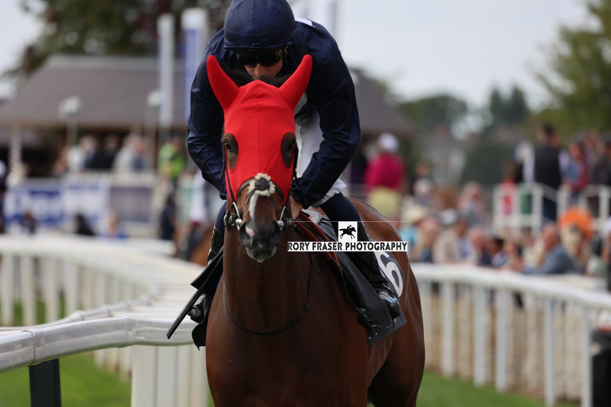 Rory Fraser Photography🤘 tweet media